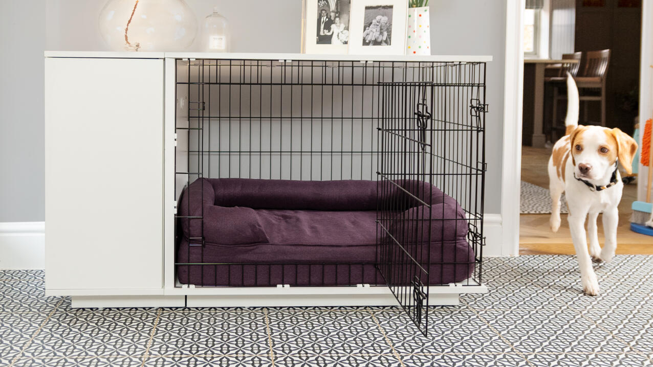 Dog bed inside outlet crate