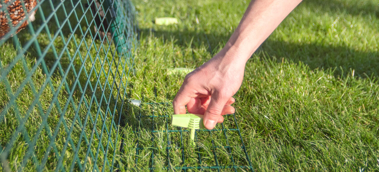 All Eglu runs have a unique anti-tunnel skirt that is proven to protect your hens and can be secured to uneven ground with Omlet Screw Pegs.