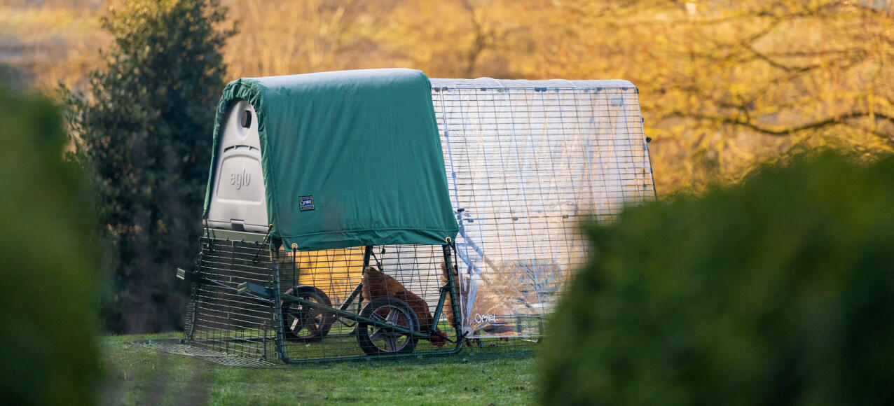 Green extreme weather blanket attached to an Eglu Go up chicken coop, with a clear cover over the full run