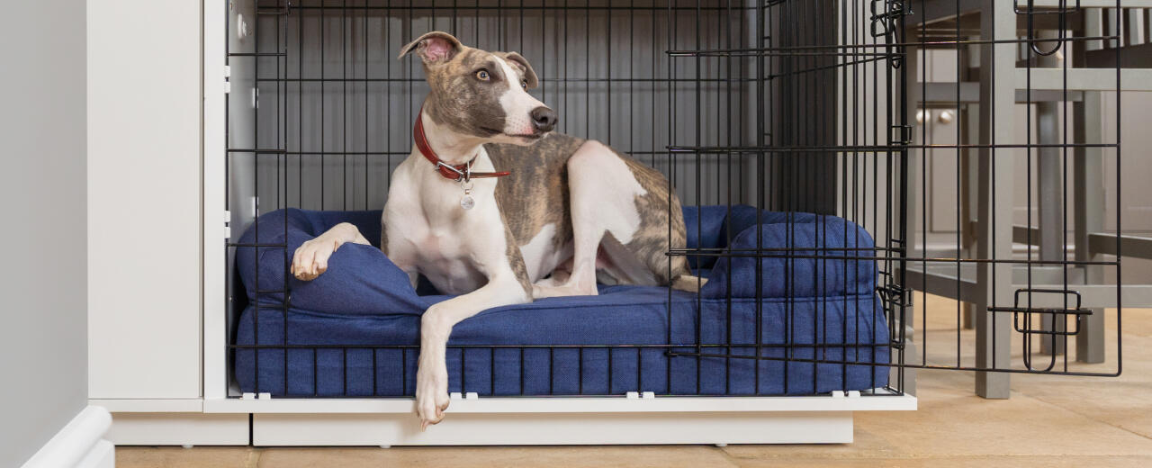 Dog resting in a bolster dog bed inside a crate designed by Omlet