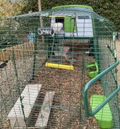 Large Eglu Cube Chicken Coops and Runs | Easy to Clean Safe Hen House ...