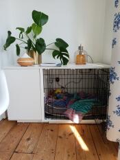 Lovely 'bedroom' for my dog!