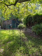 Omlet chicken fencing in garden