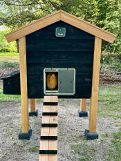 Omlet door recessed in chicken coop