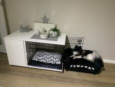 Puppy area all complete ready to have a sleep