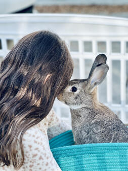 Bunny kisses and christmas wishes!