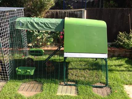 Eglu Go UP Chicken Coop | Chicken Keeping Equipment | Omlet