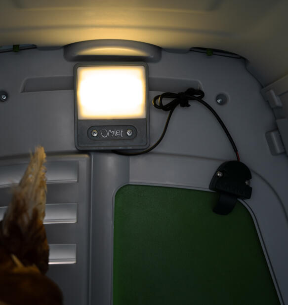 Detail of the compatible coop light inside the coop