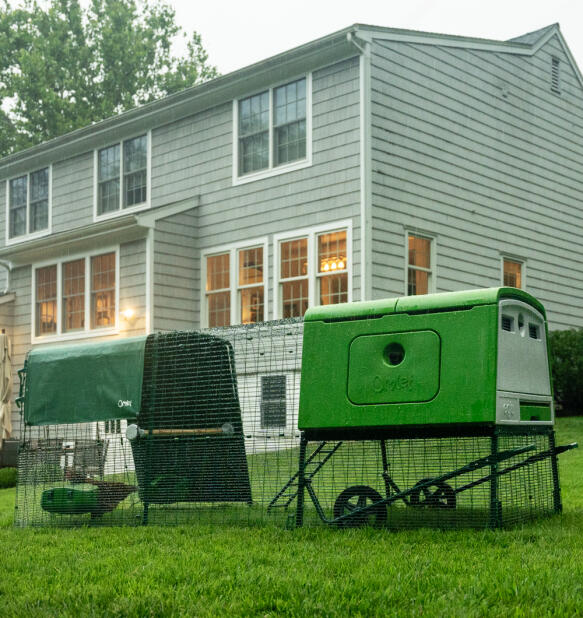 Cube with covered run in the rain