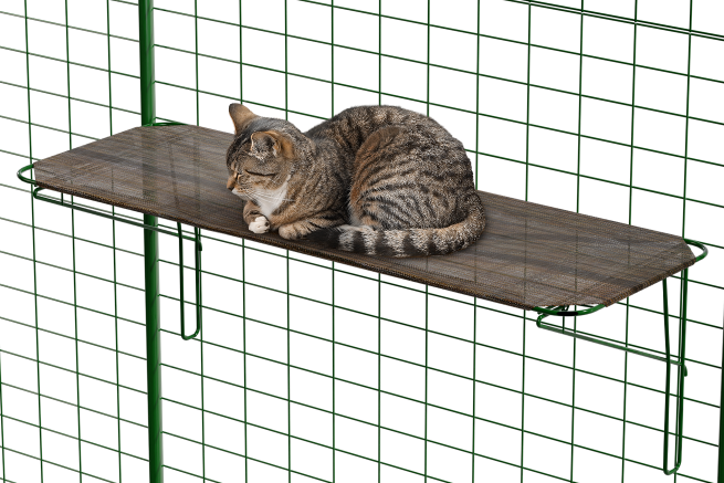 Cat resting in an outdoor cat shelf for catio