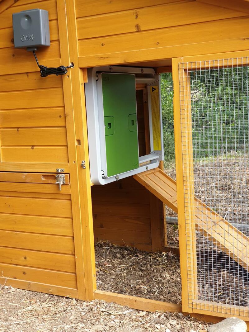 Automatic Chicken Coop Door - Green  Universal Automatic Chicken 