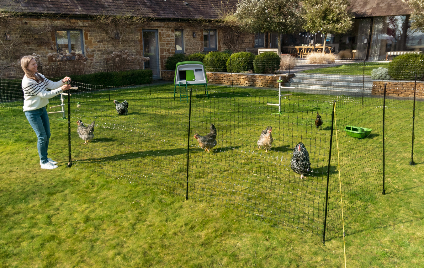 Chicken Fencing Poultry Netting For Chickens Omlet