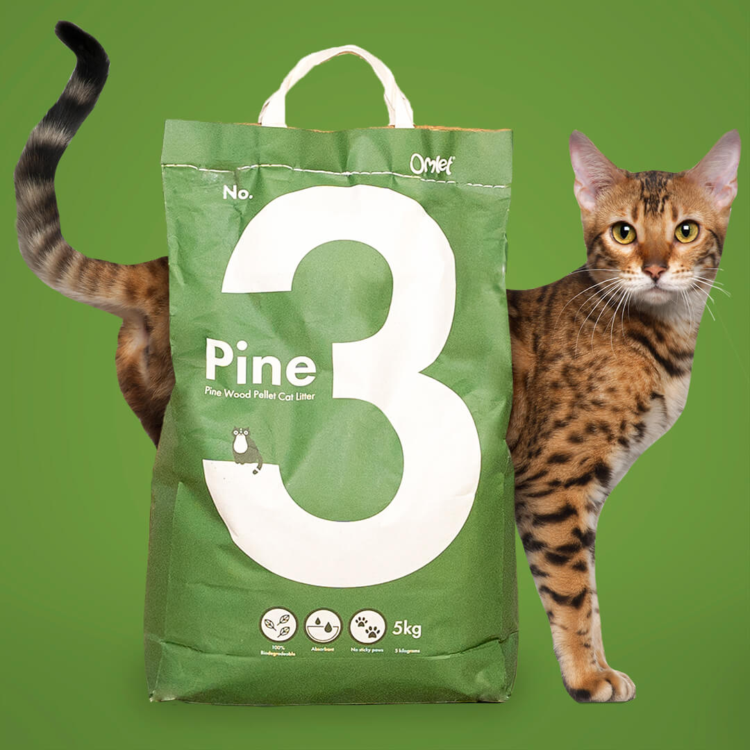 Pine wood outlet pellets cat litter