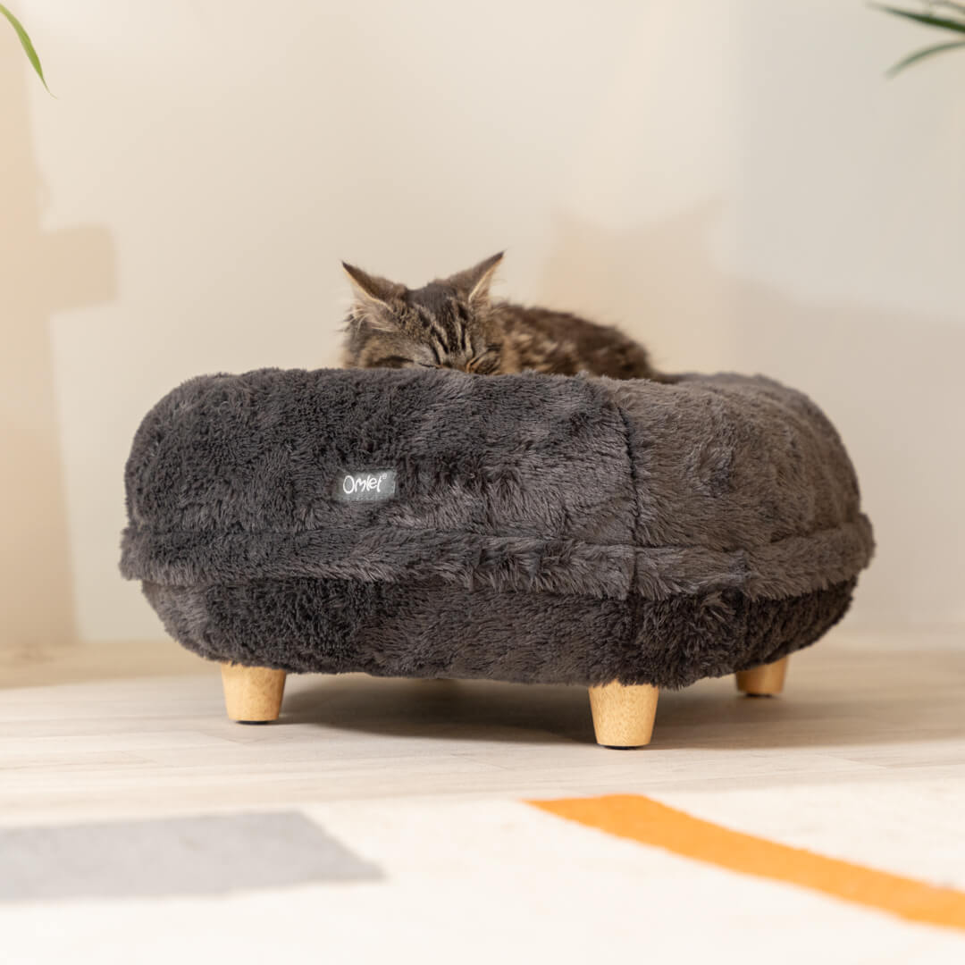 Elevated cat beds best sale