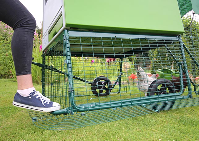 New Eglu Cube Chicken Coop | Chicken Keeping Equipment | Omlet