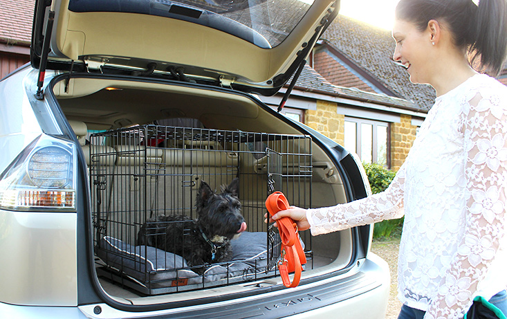 crate in car