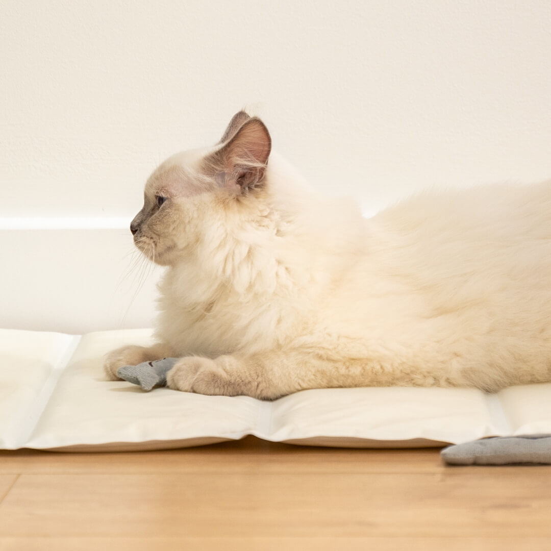 cooling mat for cats